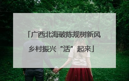 广西北海破陈规树新风 乡村振兴“活”起来