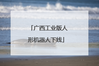 广西工业版人形机器人下线