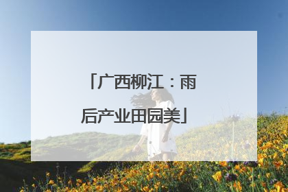 广西柳江：雨后产业田园美