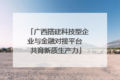 广西搭建科技型企业与金融对接平台 共育新质生产力