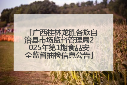 广西桂林龙胜各族自治县市场监督管理局2025年第1期食品安全监督抽检信息公告