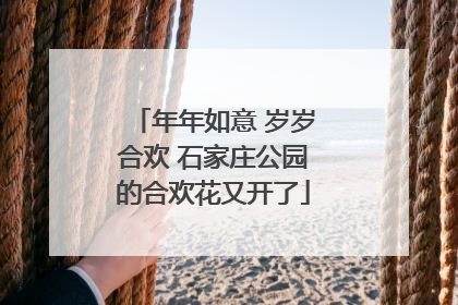 年年如意 岁岁合欢 石家庄公园的合欢花又开了