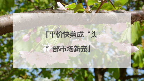 平价快剪成“头”部市场新宠