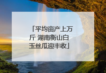 平均亩产上万斤 湖南衡山白玉丝瓜迎丰收