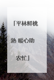 平林鲜桃熟 暖心助农忙