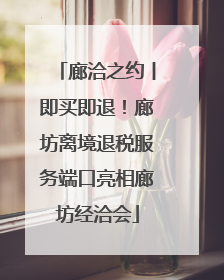 廊洽之约丨即买即退！廊坊离境退税服务端口亮相廊坊经洽会