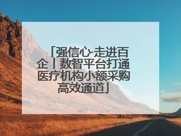 强信心·走进百企丨数智平台打通医疗机构小额采购高效通道