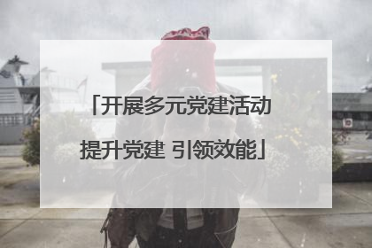 开展多元党建活动 提升党建 引领效能