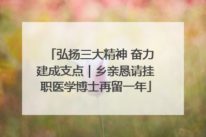 弘扬三大精神 奋力建成支点｜乡亲恳请挂职医学博士再留一年