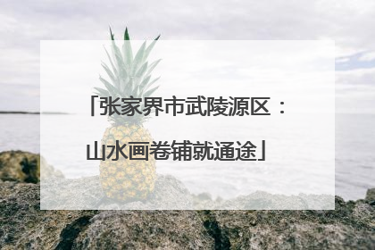 张家界市武陵源区：山水画卷铺就通途