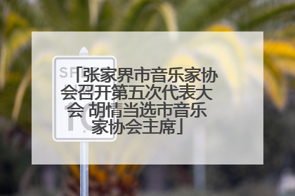 张家界市音乐家协会召开第五次代表大会 胡情当选市音乐家协会主席