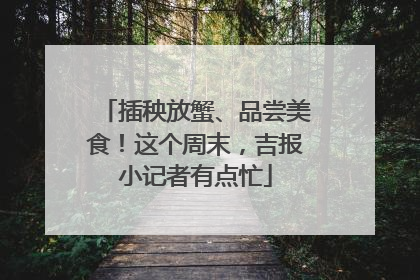插秧放蟹、品尝美食！这个周末，吉报小记者有点忙