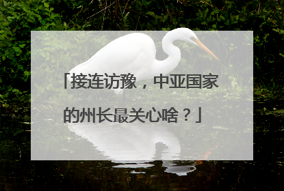 接连访豫，中亚国家的州长最关心啥？