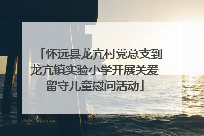 怀远县龙亢村党总支到龙亢镇实验小学开展关爱留守儿童慰问活动