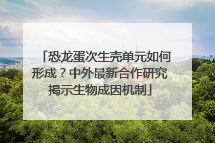 恐龙蛋次生壳单元如何形成？中外最新合作研究揭示生物成因机制