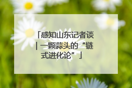感知山东记者谈｜一颗蒜头的“链式进化论”