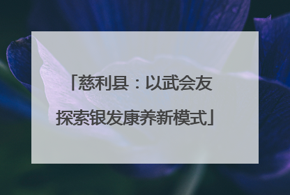 慈利县：以武会友 探索银发康养新模式
