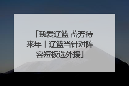 我爱辽篮 蓄芳待来年丨辽篮当针对阵容短板选外援