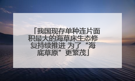 我国现存单种连片面积最大的海草床生态修复持续推进 为了“海底草原”更繁茂