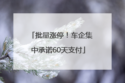 批量涨停！车企集中承诺60天支付