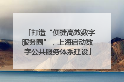 打造“便捷高效数字服务圈”，上海启动数字公共服务体系建设