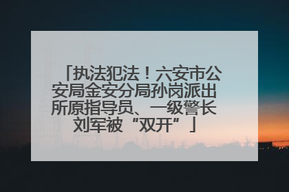 执法犯法！六安市公安局金安分局孙岗派出所原指导员、一级警长刘军被“双开”