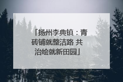 扬州李典镇：青砖铺就整洁路 共治绘就新田园