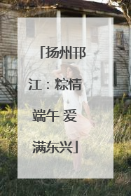 扬州邗江：粽情端午 爱满东兴