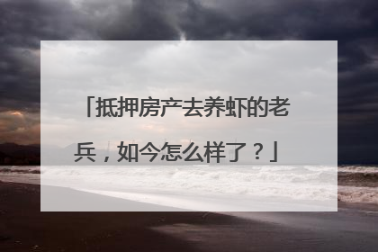 抵押房产去养虾的老兵，如今怎么样了？