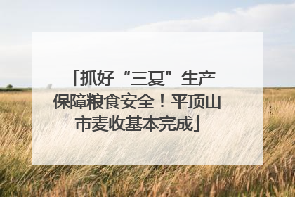 抓好“三夏”生产 保障粮食安全！平顶山市麦收基本完成
