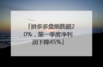 拼多多盘前跌超20%，第一季度净利润下降45%