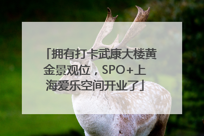 拥有打卡武康大楼黄金景观位，SPO+上海爱乐空间开业了
