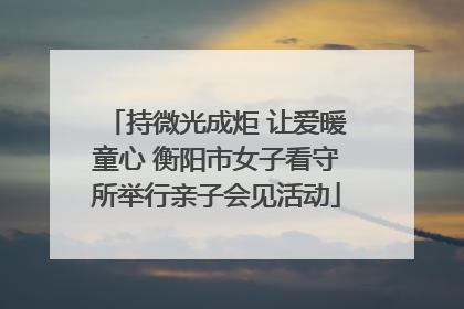 持微光成炬 让爱暖童心 衡阳市女子看守所举行亲子会见活动