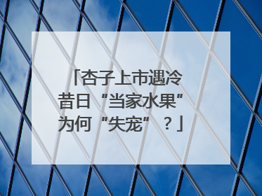 杏子上市遇冷 昔日“当家水果”为何“失宠”？
