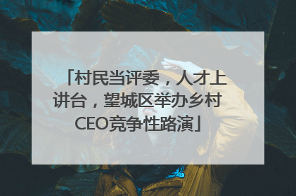 村民当评委，人才上讲台，望城区举办乡村CEO竞争性路演