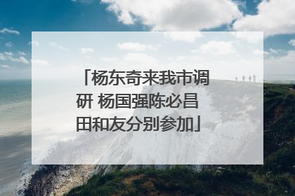 杨东奇来我市调研 杨国强陈必昌田和友分别参加