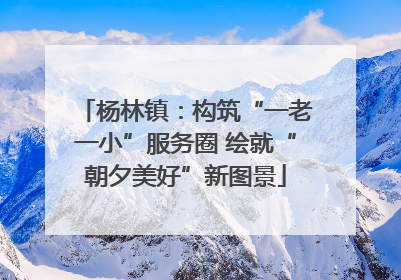 杨林镇：构筑“一老一小”服务圈 绘就“朝夕美好”新图景