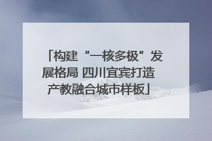 构建“一核多极”发展格局 四川宜宾打造产教融合城市样板