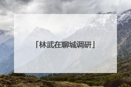 林武在聊城调研
