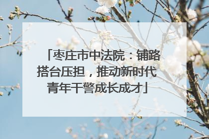 枣庄市中法院：铺路搭台压担，推动新时代青年干警成长成才