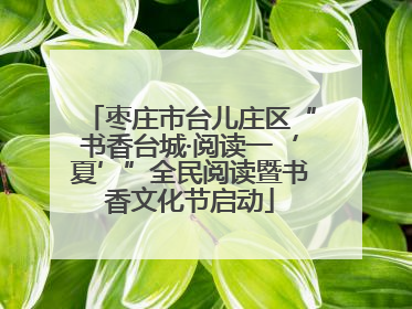 枣庄市台儿庄区“书香台城·阅读一‘夏’”全民阅读暨书香文化节启动