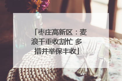 枣庄高新区：麦浪千重收割忙 多措并举保丰收