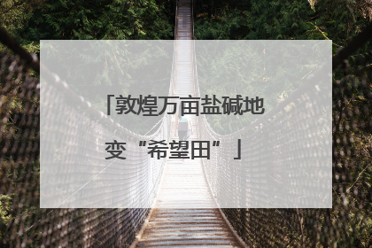 敦煌万亩盐碱地变“希望田”
