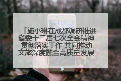 施小琳在成都调研推进省委十二届七次全会精神贯彻落实工作 共同推动文旅深度融合高质量发展 加快打造支柱产业民生产业幸福产业