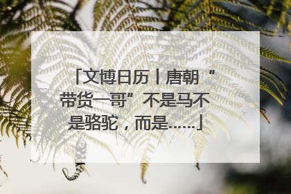 文博日历丨唐朝“带货一哥”不是马不是骆驼，而是……