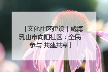 文化社区建设｜威海乳山市向阳社区：全民参与 共建共享