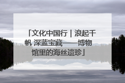 文化中国行｜浪起千帆 深蓝宝藏——博物馆里的海丝遗珍