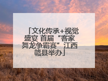 文化传承+视觉盛宴 首届“客家舞龙争霸赛”江西赣县举办