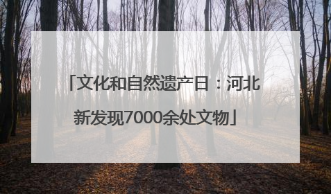 文化和自然遗产日：河北新发现7000余处文物