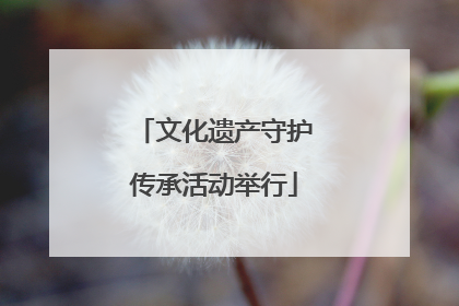 文化遗产守护传承活动举行